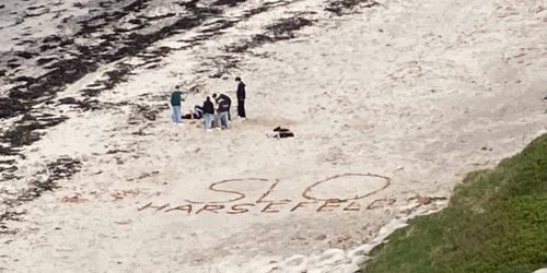 2FFFBF97-3200-41FC-B278-1665CE149C59