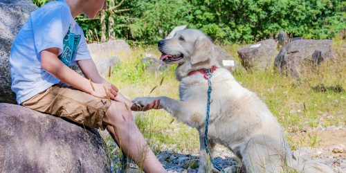 Schulhund_Ella_Pfote