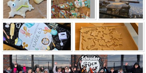 cd221ada-c807-4a04-8c81-37a016abb575